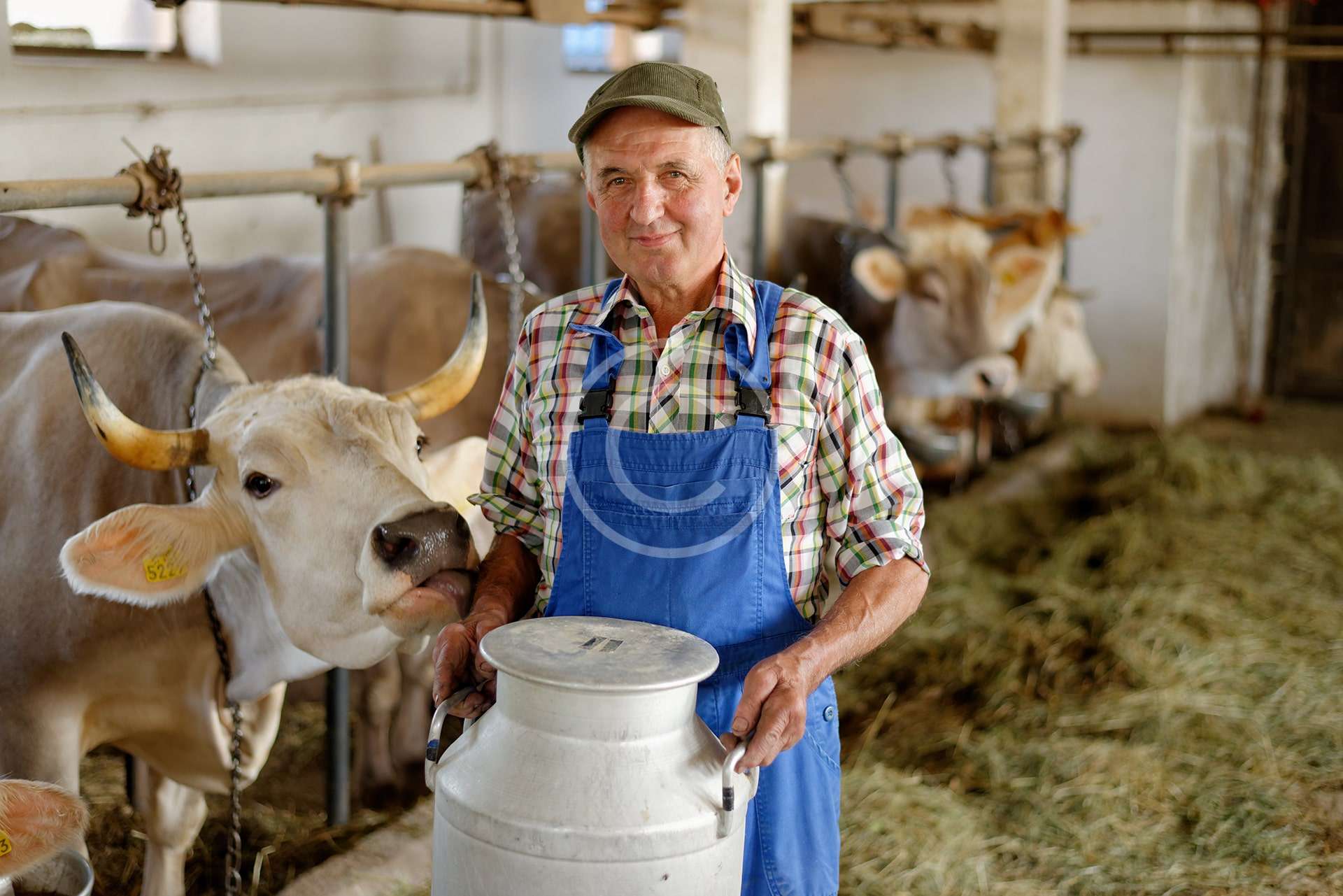 A Typical Day on the Farm